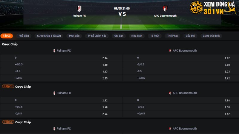 Fulham vs Bournemouth